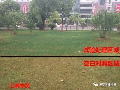 除“苔”保“草” ，刻不容缓